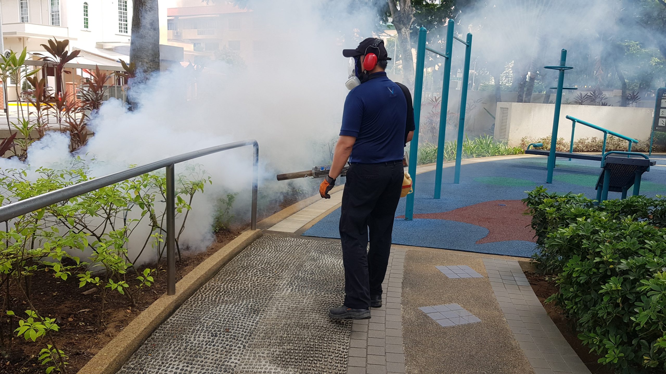 Pest Control Fogging